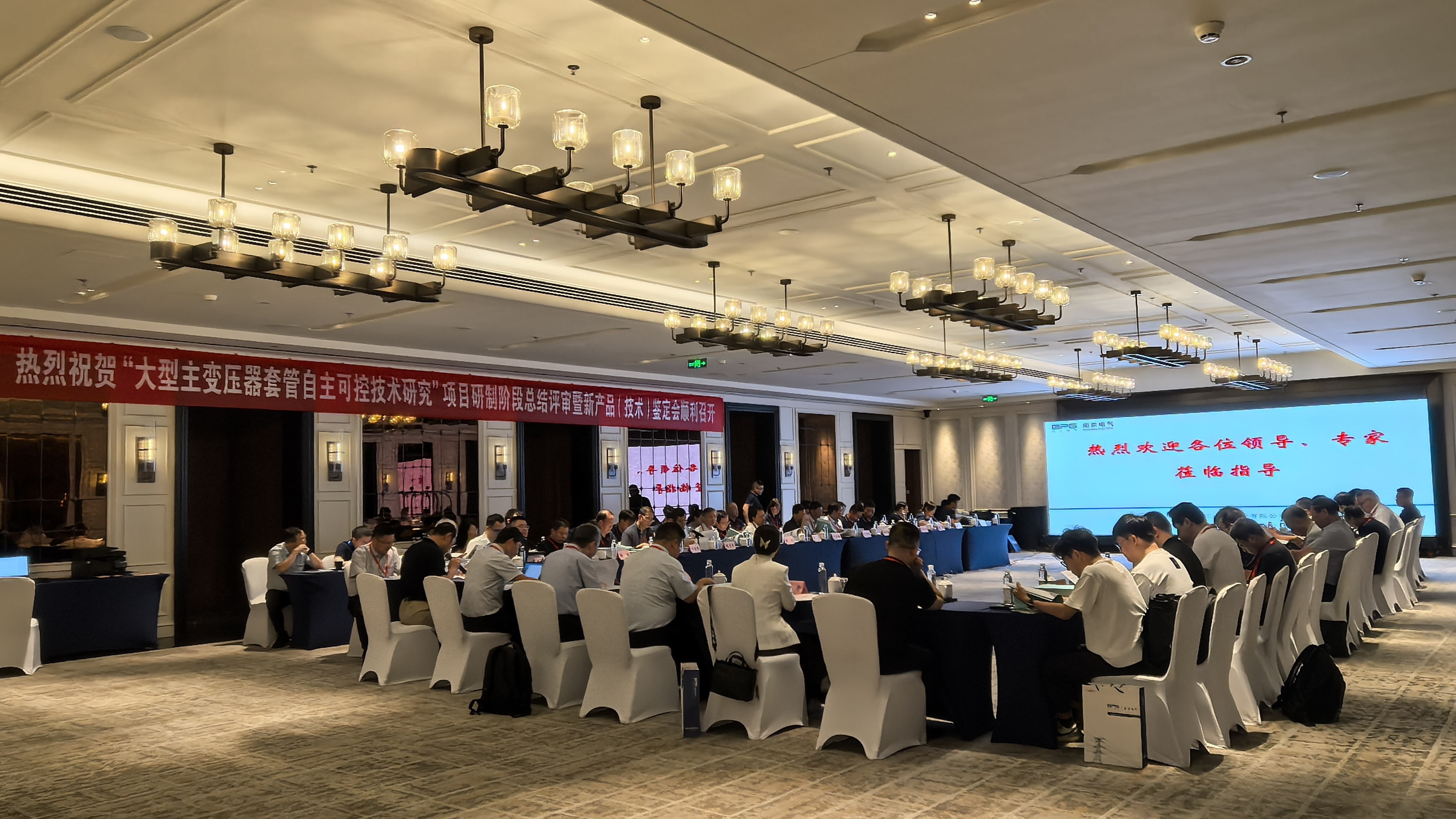 彩名堂 “大型主变压器套管自主可控手艺研究项目”及五项国产替换新产品（手艺）通过评审_彩名堂